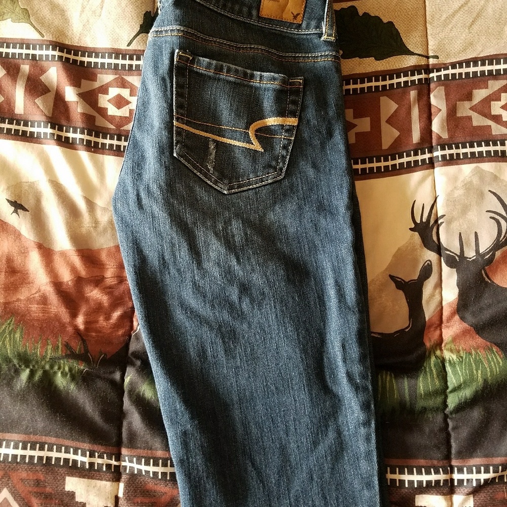 American Eagle Artist Flared Jeans